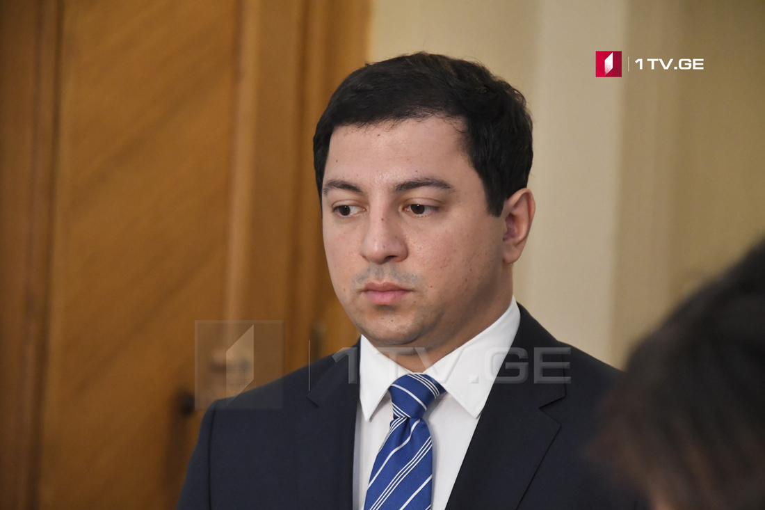 Majority leader - government will do everything for implementation of Anaklia port project