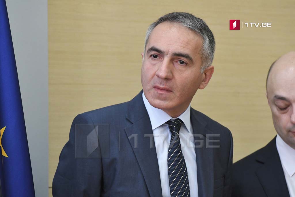 მიხეილ ბატიაშვილი - სამინისტროში რეორგანიზაცია უახლოეს პერიოდში დასრულდება