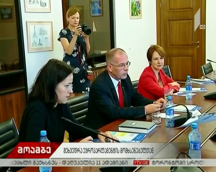 შეხვედრა ევროპარლამენტის მომხსენებელთან