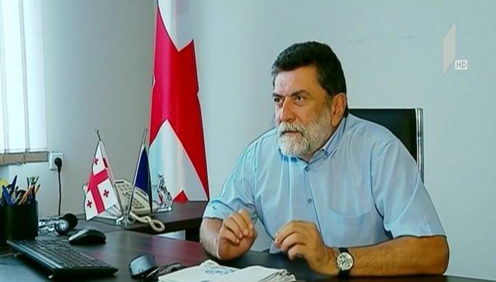 მთავრობის განახლებული შემადგენლობა - შეფასებები