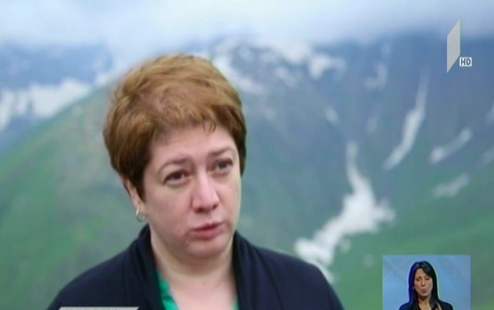 მაია ცქიტიშვილი: ხევსურეთში საგზაო ინფრასტრუქტურა დროულად უნდა მოწესრიგდეს