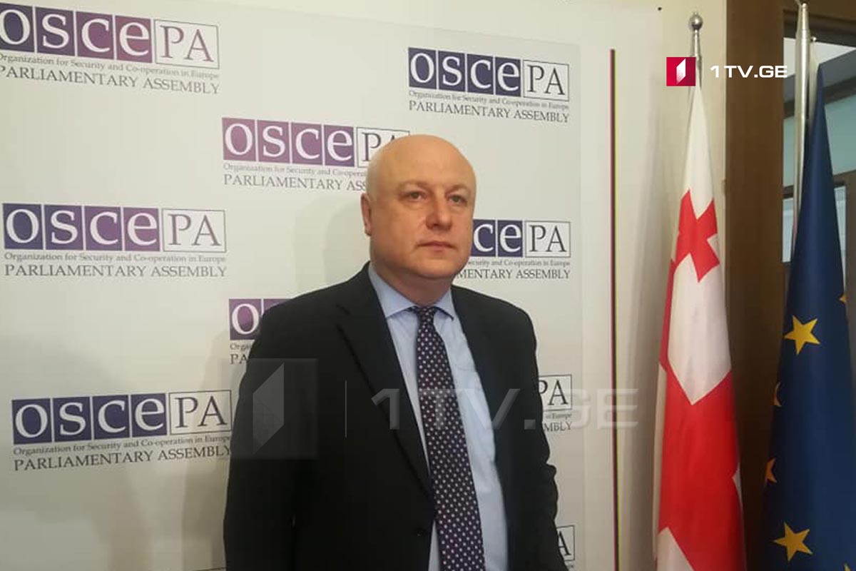 გიგი წერეთელი - ვფიქრობ, ეუთო-ს საპარლამენტო ასამბლეის წევრები რეზოლუციას „10 წელი აგვისტოს ომის შემდეგ“ მხარს დაუჭერენ