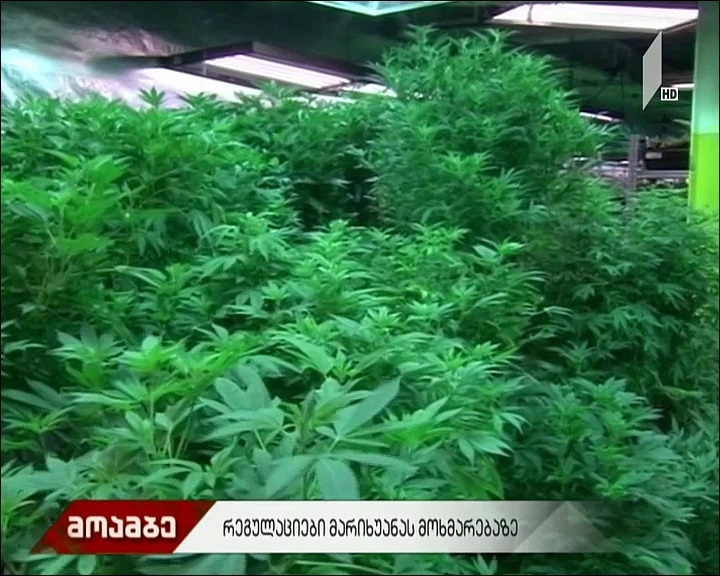 რეგულაციები მარიხუანის მოხმარებაზე