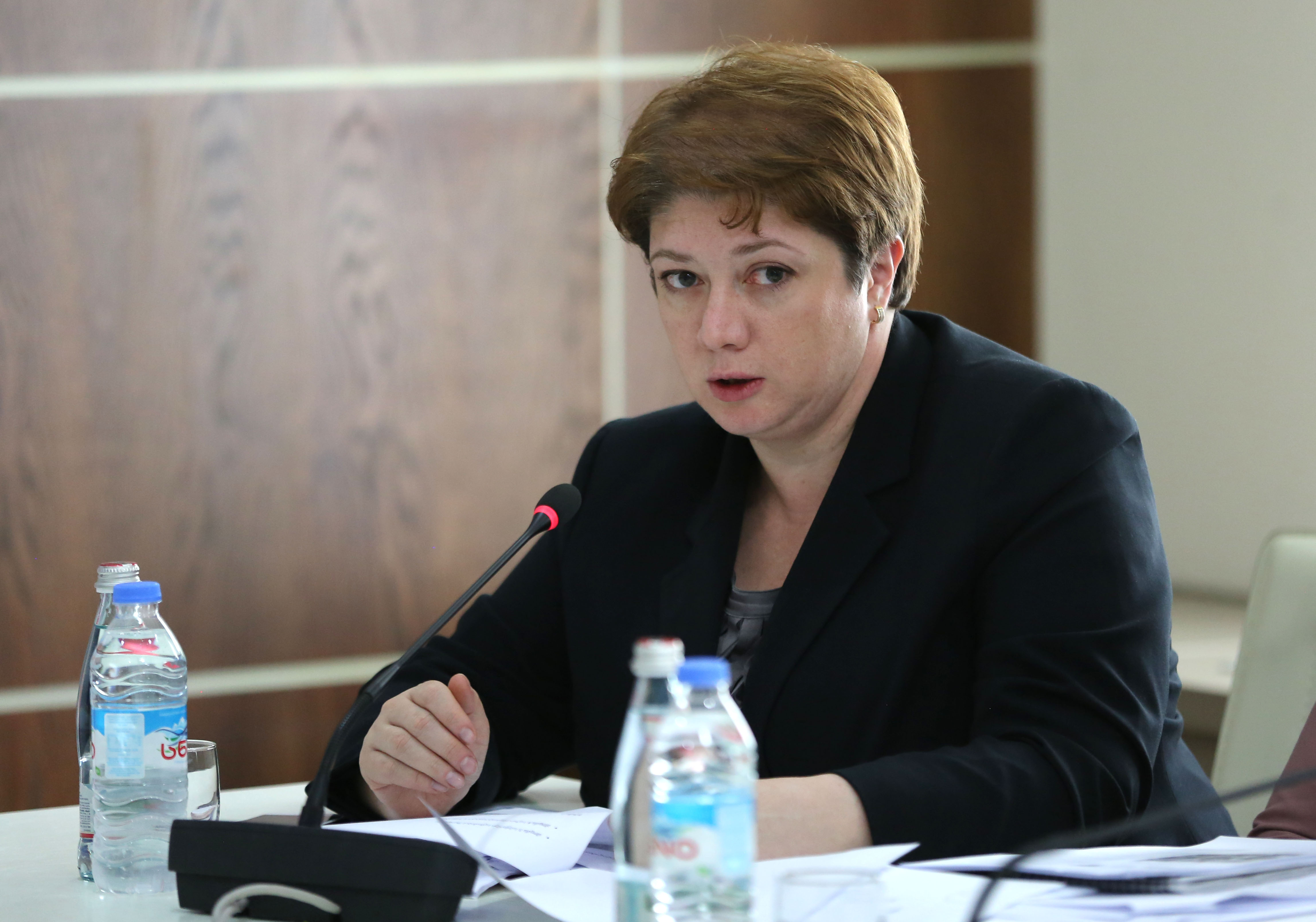 მთის განვითარების 2019-2023 წლების სტრატეგიასა და სამოქმედო გეგმას რეგიონული განვითარების სამინისტრო შეიმუშავებს