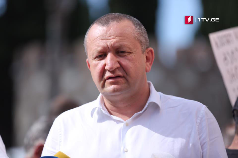 Давид Чичинадзе - Если у кого-то в Грузии и есть дипломатический опыт, то это Саломе Зурабишвили