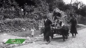 ფერმა 2018 09 23.mp4_20180923_140409.497