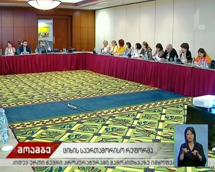 „ციხის საერთაშორისო რეფორმა“ - მსჯელობა და რეკომენდაციები