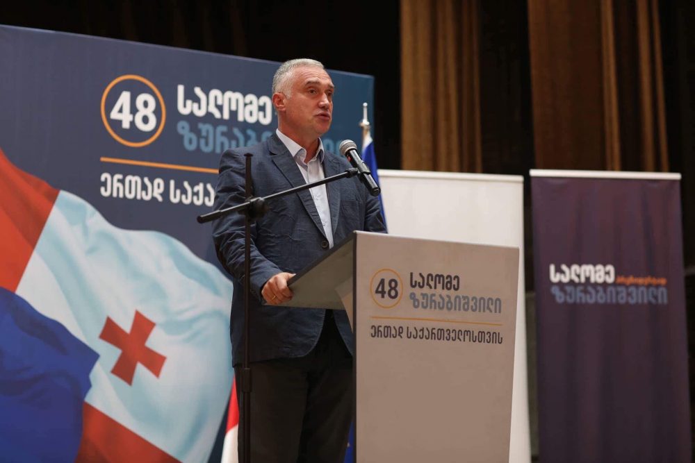 ზვიად ძიძიგური - სალომე ზურაბიშვილს პარლამენტში გაკეთებული აქვს პატრიოტული საქმე, ეს არის ორმაგი მოქალაქეობის მიღების გამარტივების საკითხი