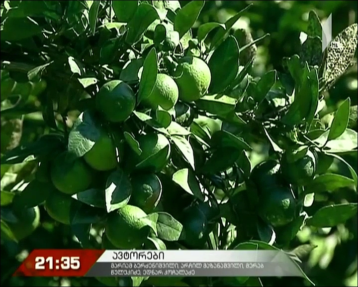 პრობლემები აგროდაზღვევის სფეროში  