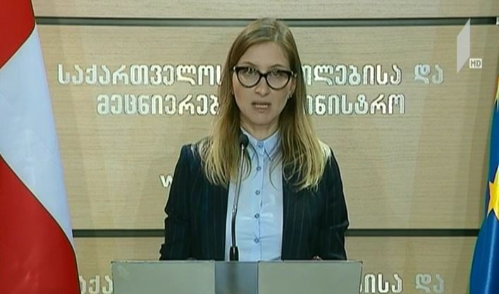 ბრიფინგი განათლების სამინისტროში