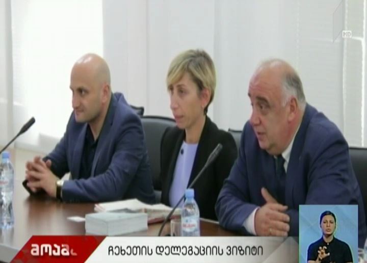 ჩეხეთის დელეგაცია თბილისში