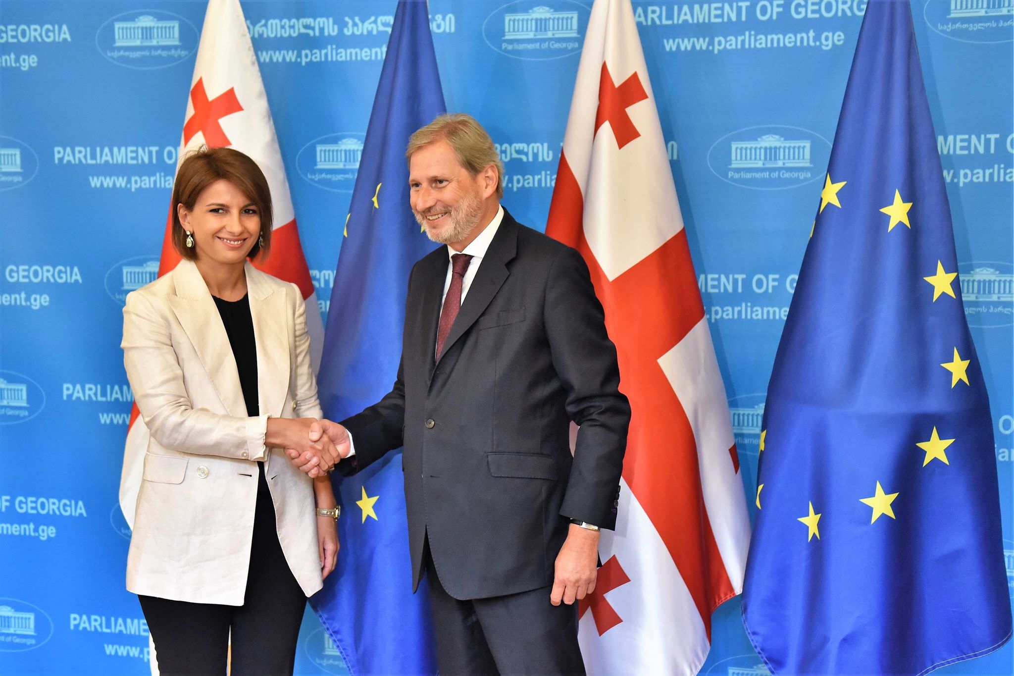 ევროკომისარი იოჰანეს ჰანი დეპუტატებს შეხვდა