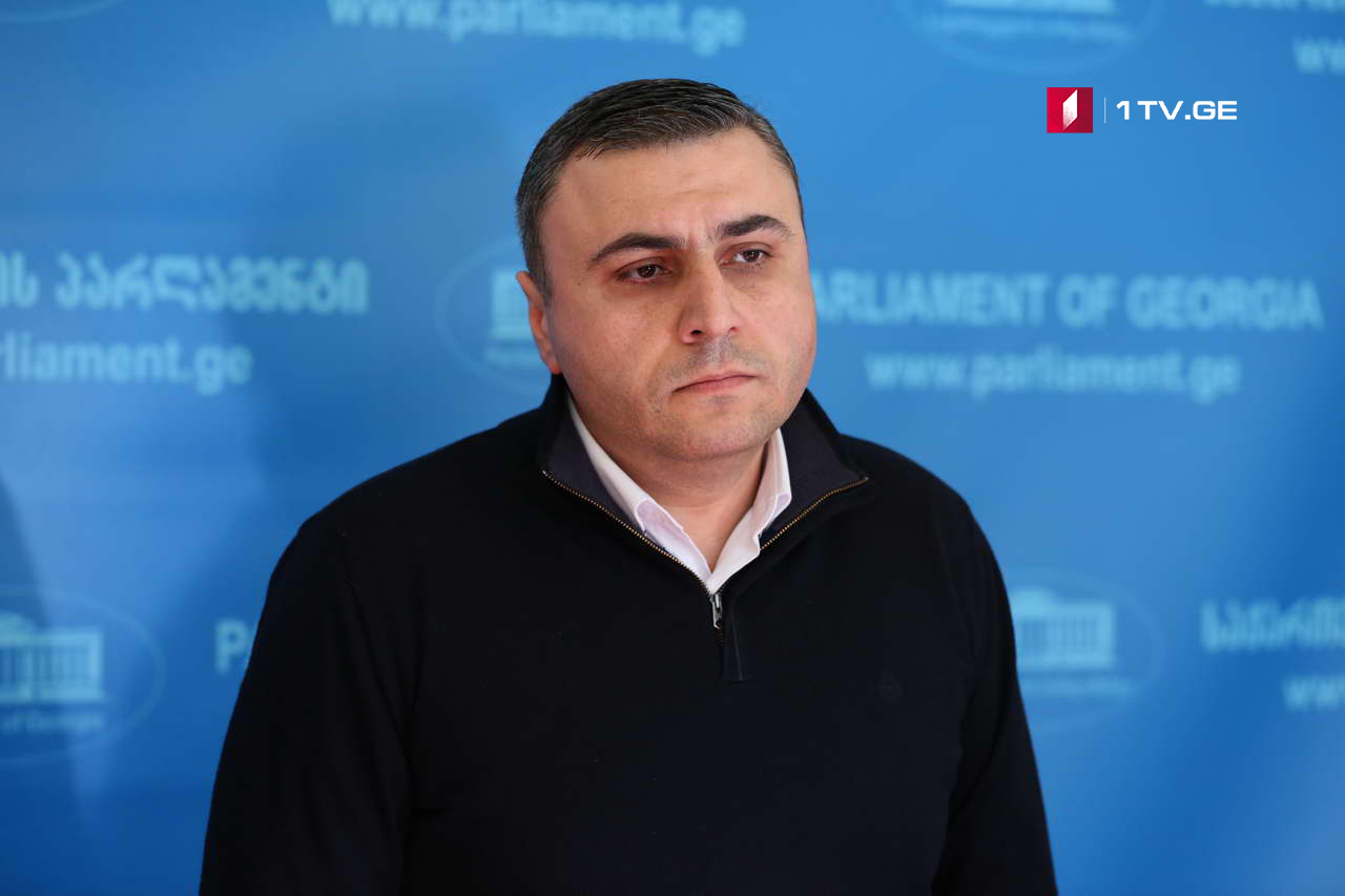 დავით მათიკაშვილი -  ყველაფერი კეთდება, რომ ჰააგაში საქართველოს ინტერესები ბოლომდე იყოს დაცული