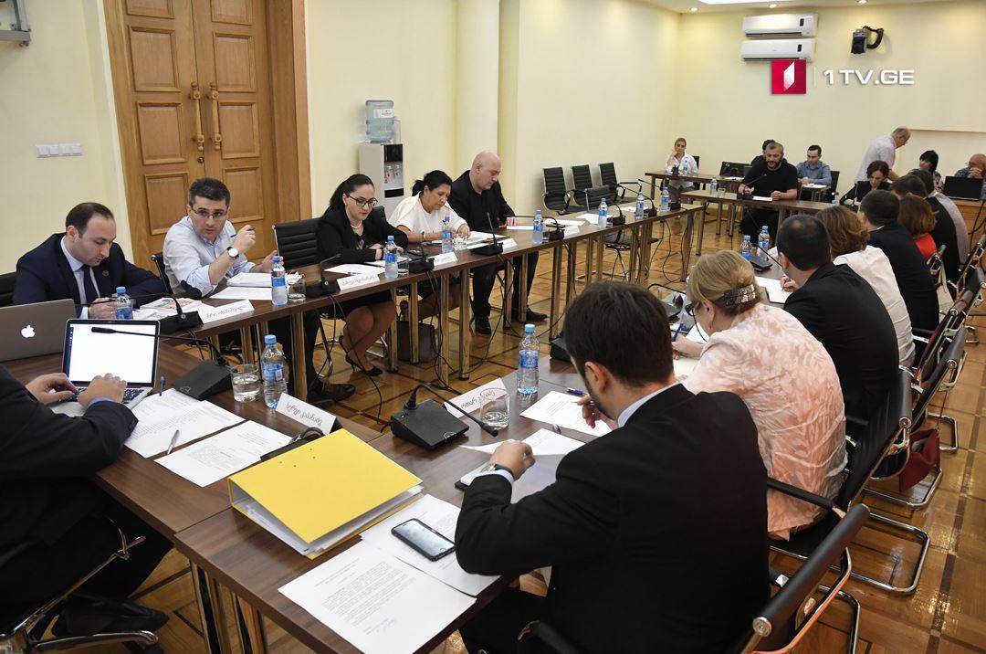 უმრავლესობის წევრთა დასკვნა ხორავას ქუჩის საქმეზე - გამოძიებისას არ ჩატარდა ან დაგვიანებით ჩატარდა ცალკეული საგამოძიებო მოქმედებები, თუმცა ამას გავლენა არ მოუხდენია გამოძიების საბოლოო შედეგებზე