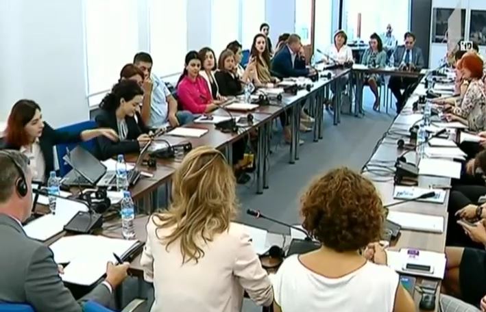 „საქართველოს დემოკრატიული ინიციატივის“ ანგარიში