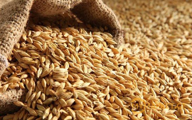 Tariff for wheat rail transportation from Georgia to Armenia halved