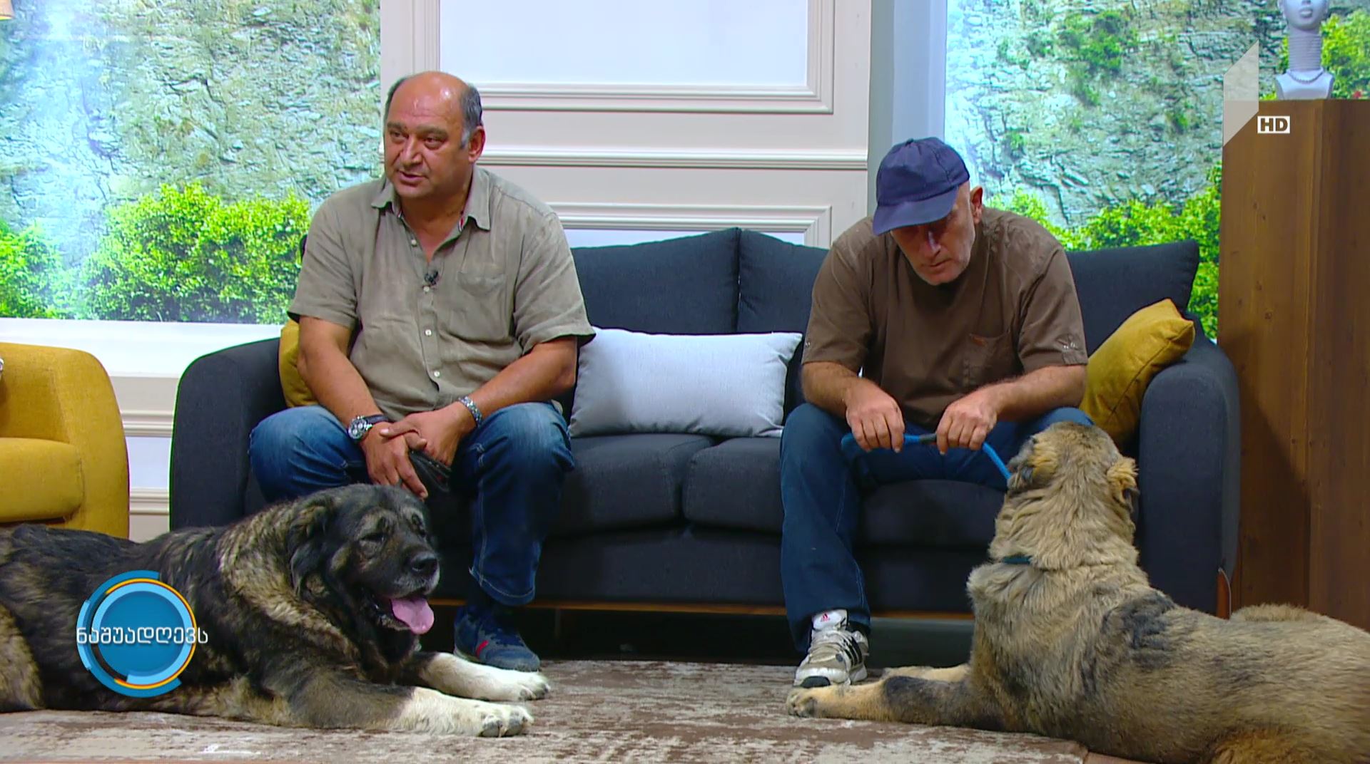 #ნაშუადღევს - გამოფენისთვის მზადება