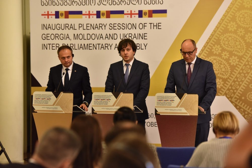 საქართველოს, მოლდოვისა და უკრაინის საპარლამენტთაშორისო ასამბლეა პანელური დისკუსიებით გაგრძელდება