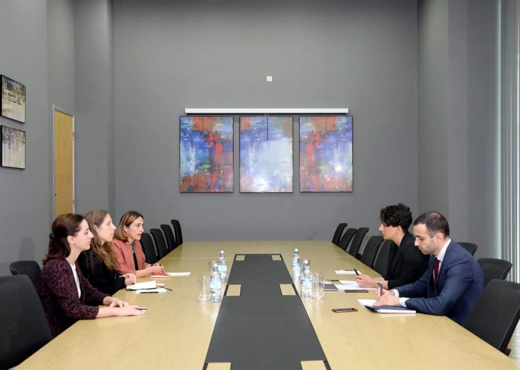 ნათია მეზვრიშვილი არჩევნებზე საერთაშორისო სადამკვირვებლო მისიების - NDI-ისა და OSCE/ODHIR-ის წარმომადგენლებს შეხვდა