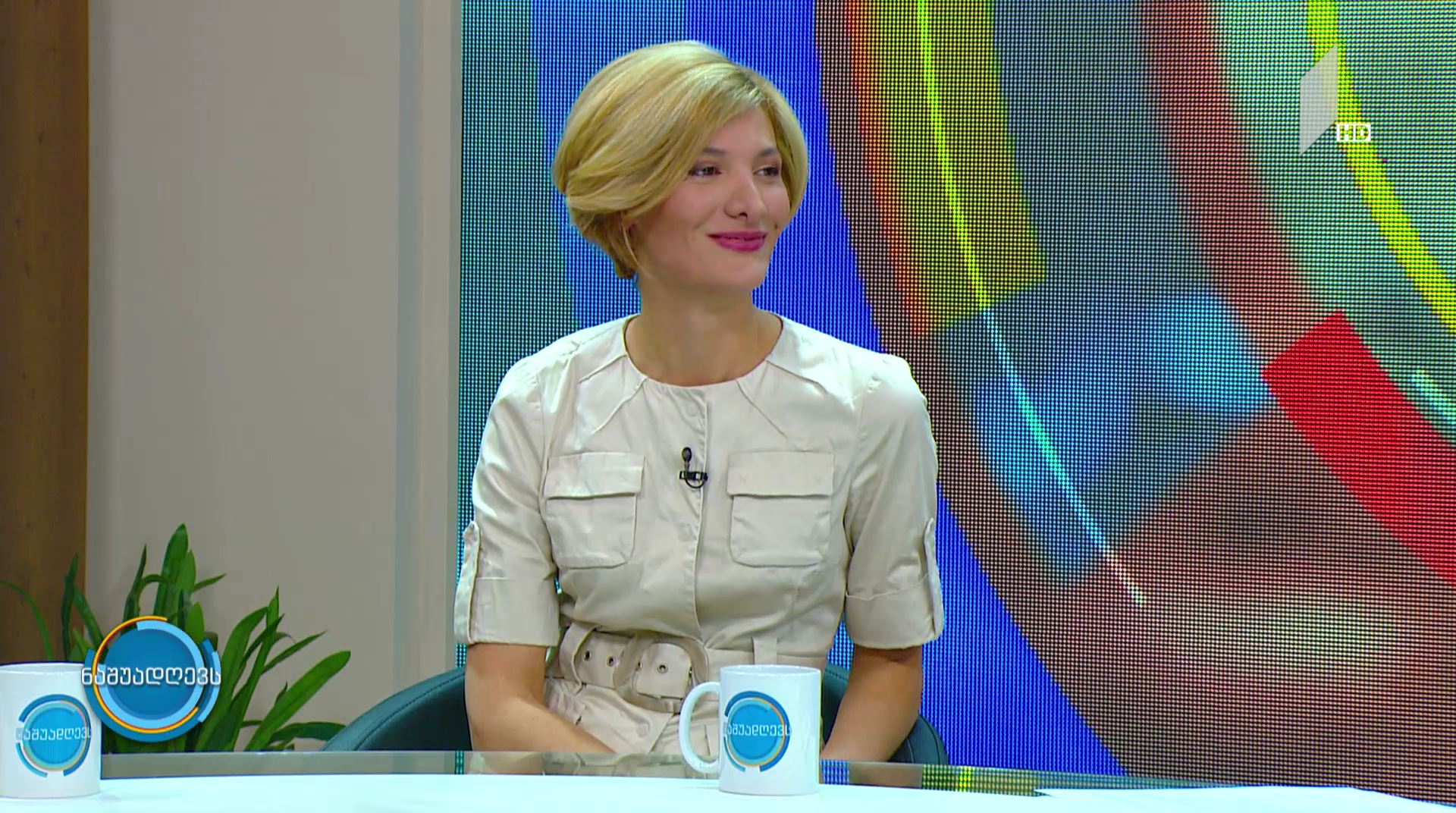 #ნაშუადღევს „დაიწყე საქართველოში“
