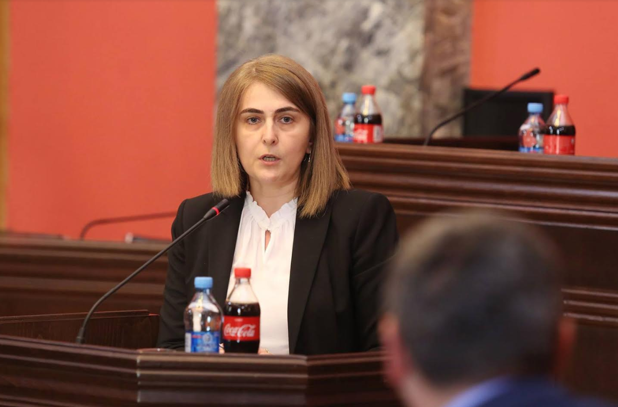 მზია გიორგობიანი - 2019 წლისთვის ინფრასტრუქტურის სამინისტროს ბიუჯეტი მილიარდ ცხრაას სამოცდახუთი მილიონი ლარი იქნება