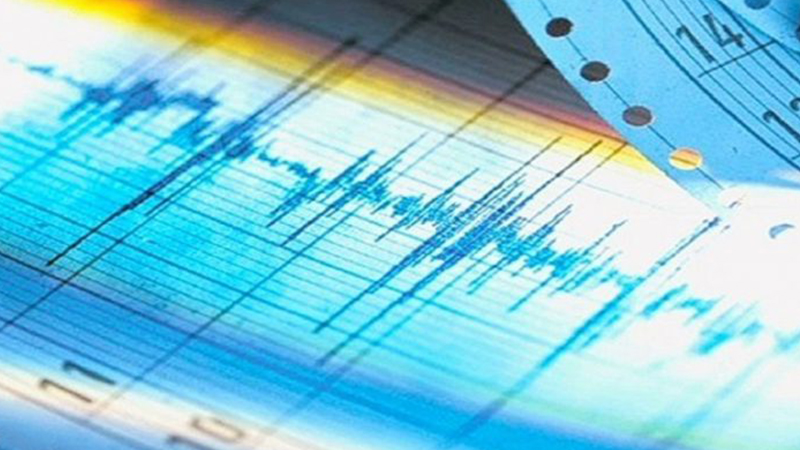 Earthquake hits Georgia