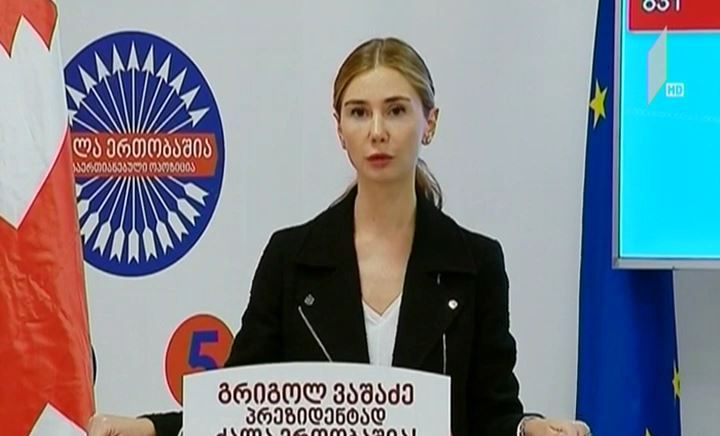თინა ბოკუჩავას ბრიფინგი