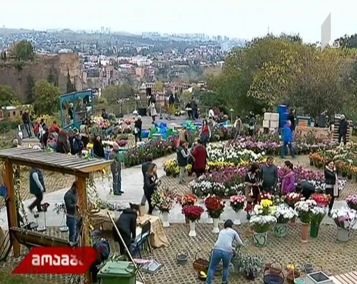 ბოტანიკურ ბაღში ყვავილების ფესტივალი მიმდინარეობს