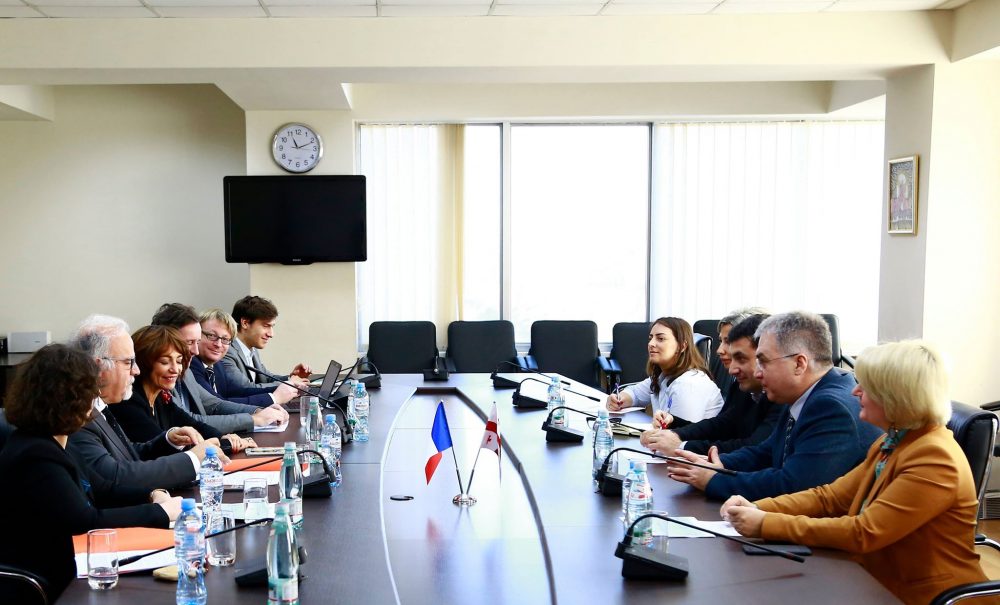 საფრანგეთის მთავრობის მრჩეველი მიესალმება გადაწყვეტილებას, მუშაობის დაწყების შემთხვევაში სოციალურად დაუცველებს გარკვეული შეღავათები შეუნარჩუნდეთ