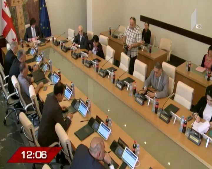 „ევროპული საქართველოს“ რეზოლუციის პროექტი დღეს განიხილება
