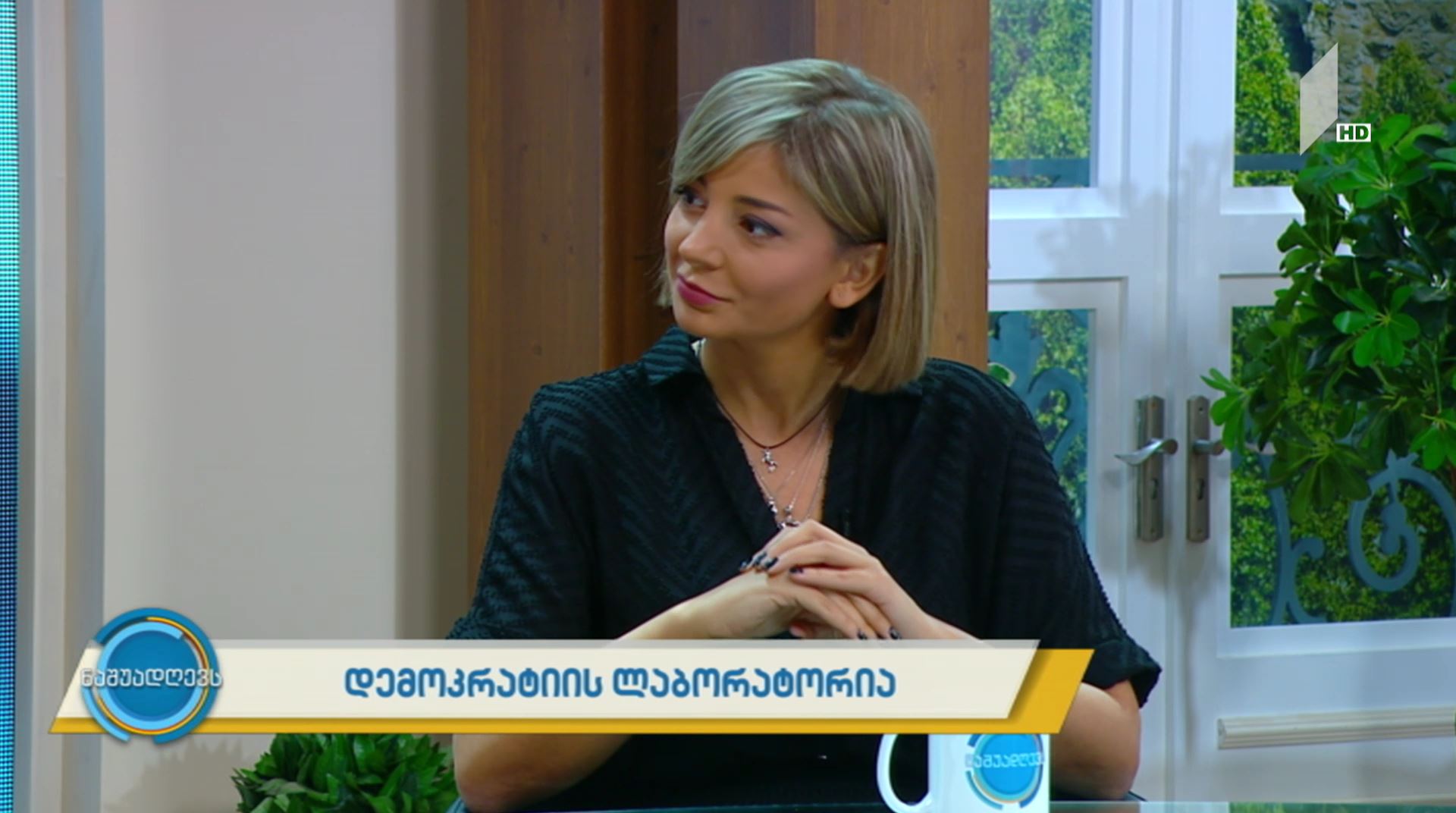 #ნაშუადღევს დემოკრატიის ლაბორატორია