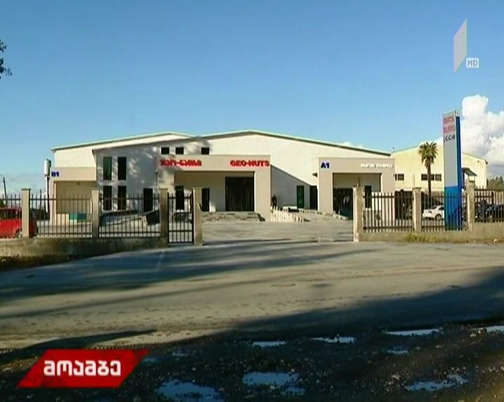ინგირში თხილის გადამამუშავებელი საწარმო ამოქმედდა