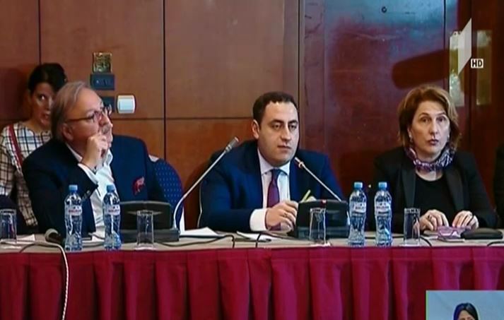 „ძალა ერთობაშია“ ექსპერტებს ხვდება