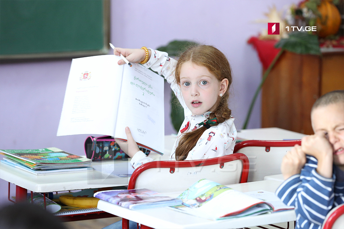 სკოლებში იაკობ გოგებაშვილის „დედა ენით“ სწავლებისთვის ახალი საკანონმდებლო ინიციატივა მომზადდა
