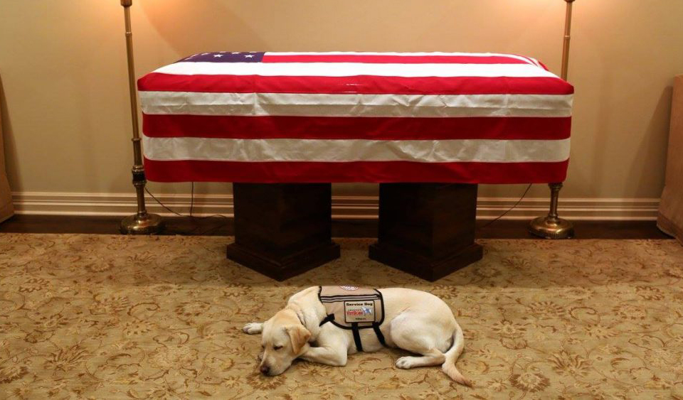 „მისია შესრულებულია“ - მოსამსახურე ძაღლი სალი აშშ-ის ყოფილ პრეზიდენტ ჯორჯ ბუშს ბოლო გზაზე გააცილებს