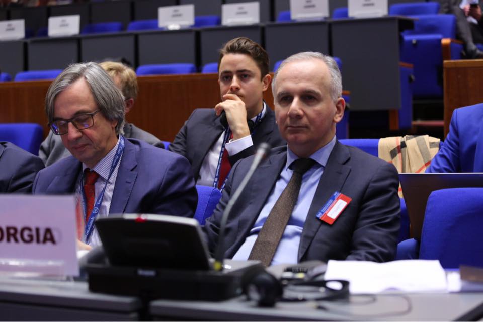 გოჩა ლორთქიფანიძე ჰააგის სისხლის სამართლის საერთაშორისო სასამართლოს დაზარალებულთა ფონდის დირექტორატში აირჩიეს [ვიდეო]