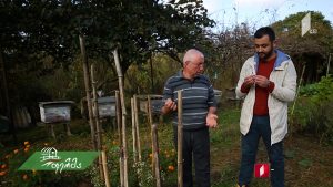 ფერმა 2018 12 09.mp4_20181209_125806.389