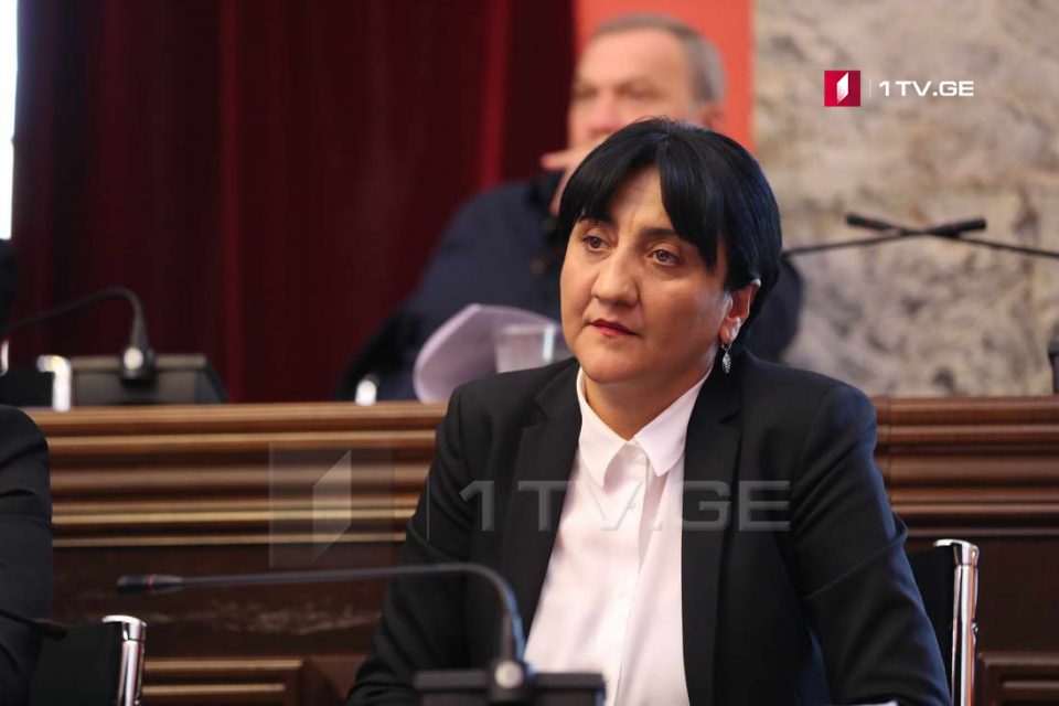 ირმა ინაშვილი - დანარჩენ დეპუტატებს შევახსენებ, რომ სწორედ ბესელიას, გოგიჩაიშვილის, გეგიძის, ჩემი და სხვა ადამიანების ბრძოლის შედეგია, დღეს პარლამენტში რომ სხედხართ
