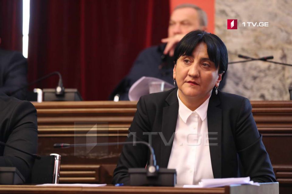ირმა ინაშვილის ითხოვს, აჭარის რეგიონში განათლების კუთხით ვითარების შესასწავლად კომისია შეიქმნას