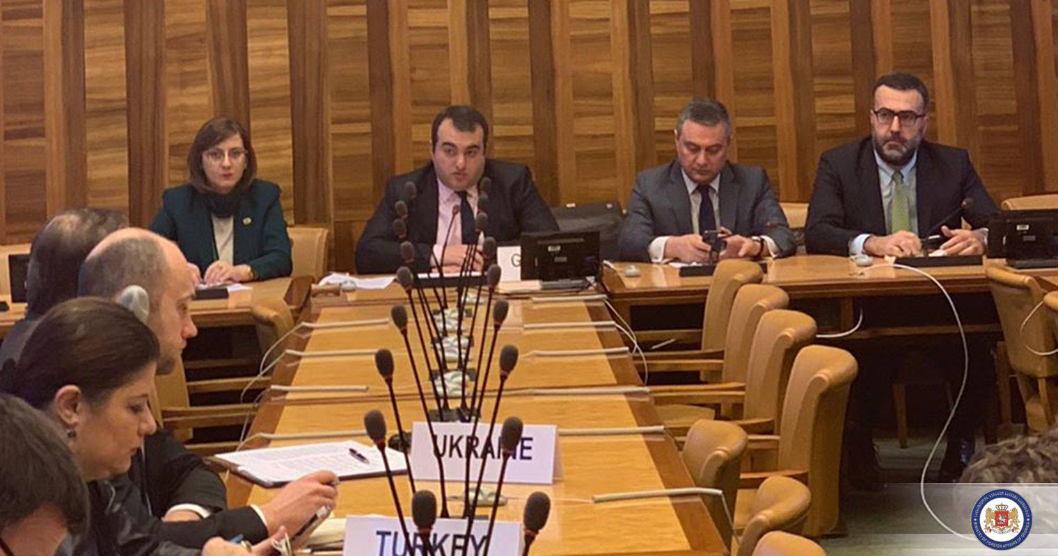 ლაშა დარსალიამ ჟენევაში აკრედიტებულ დიპკორპუსთან რუსეთის მიერ საქართველოს ტერიტორიების უკანონო ოკუპაცია და მისი მძიმე შედეგები განიხილა