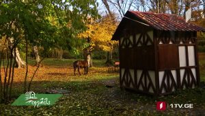 ფერმა 2018 12 16.mp4_20181216_125752.976