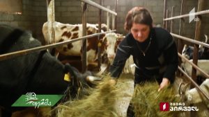 ფერმა 2018 12 16.mp4_20181216_132844.878