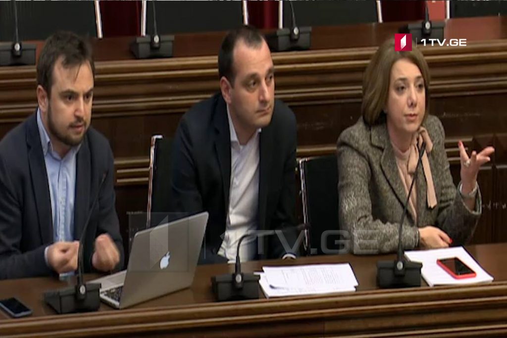 სალომე სამადაშვილი პარლამენტის იურიდიულ საკითხთა კომიტეტს ტოვებს