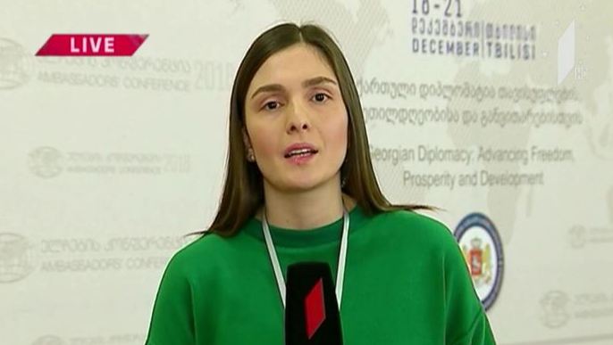 საფრანგეთმა საქართველოს მოქალაქეების ლეგალურად მუშაობის შესახებ კანონი დაამტკიცა