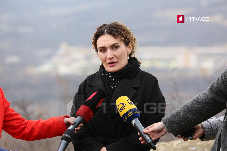 ქეთევან ციხელაშვილის განცხადება