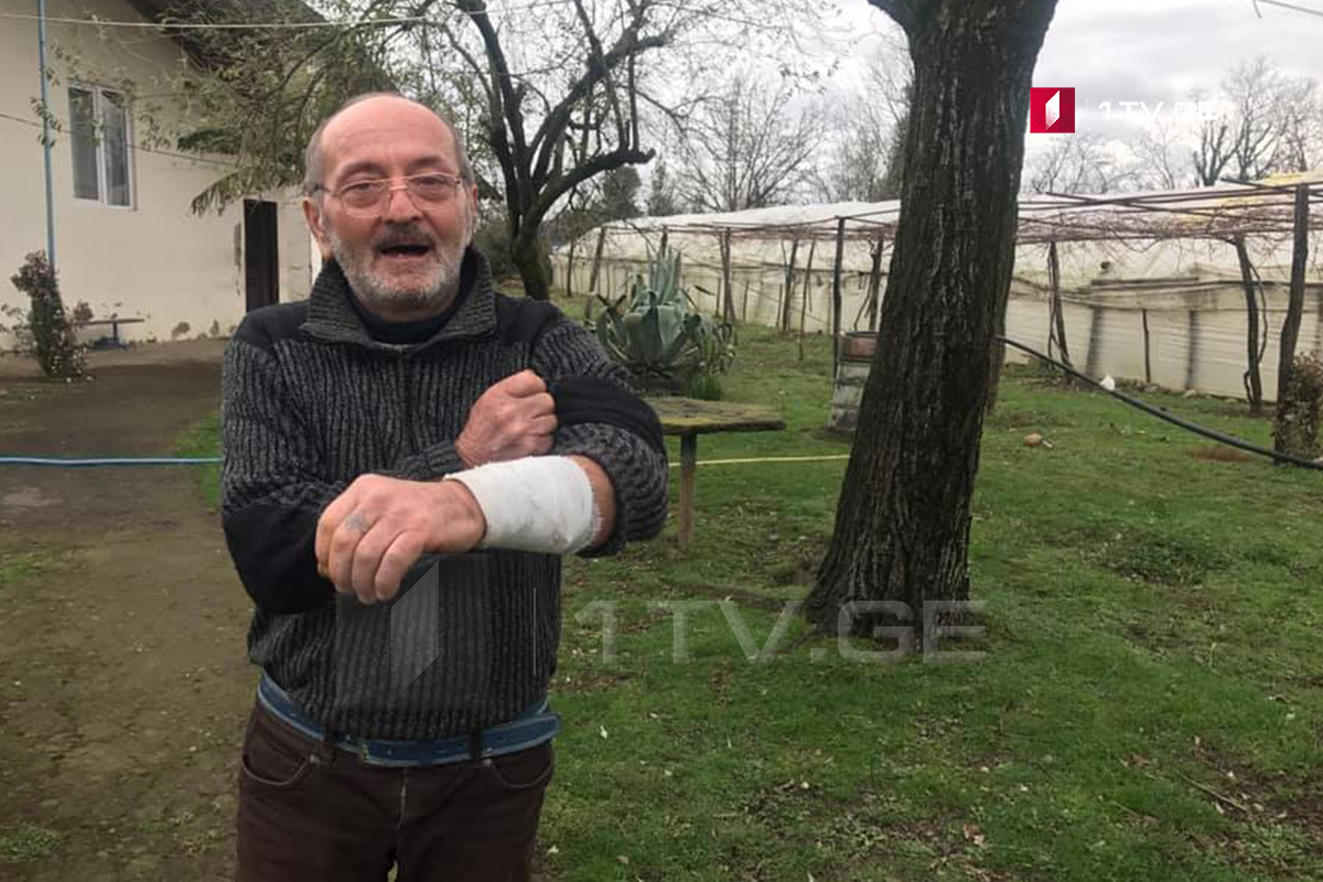 წყალტუბოში, სოფელ ფარცხანაყანევში მგელმა ხუთი ადამიანი დაკბინა