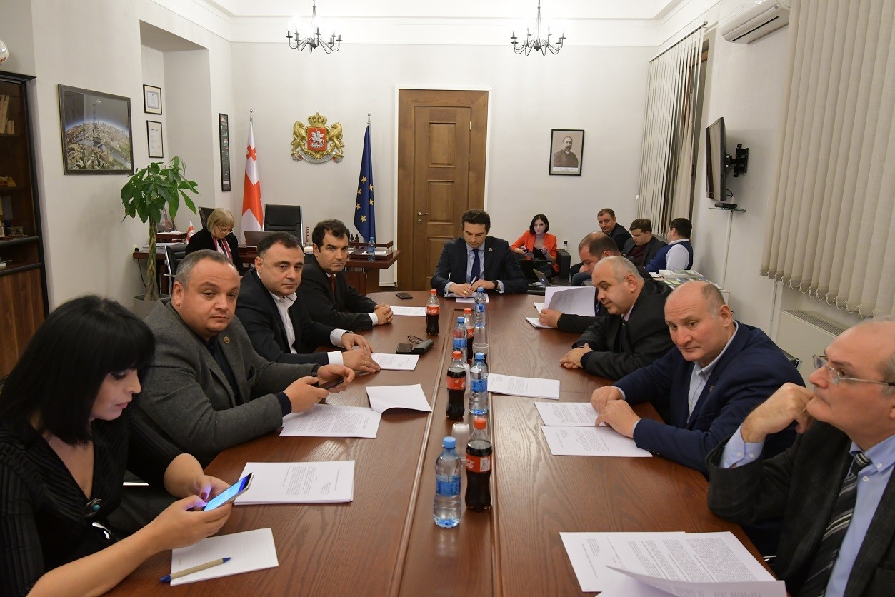 გარემოს დაცვის კომიტეტში „არ ემ ჯი გოლდის“ წარმომადგენლებთან შეხვედრა გაიმართება