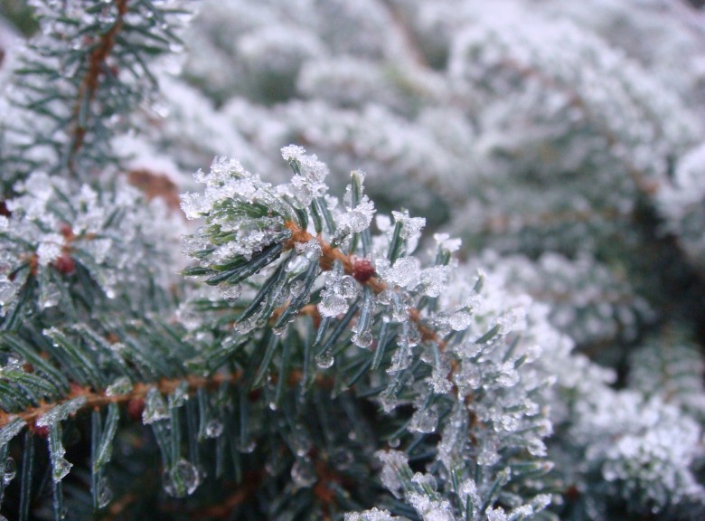 Meteorologists prognosticate sharp drop of air temperature from December 27