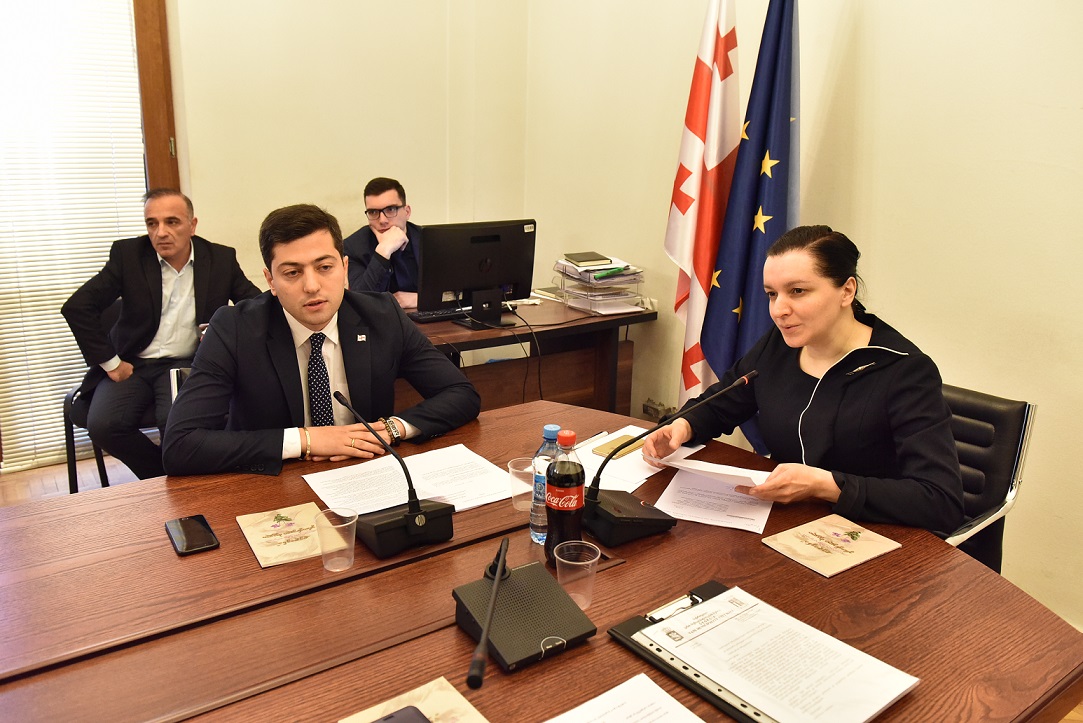 დედაენის სკოლებში დაბრუნების მიზნით მომზადებულ კანონპროექტს საპარლამენტო კომიტეტებმა მხარი დაუჭირეს