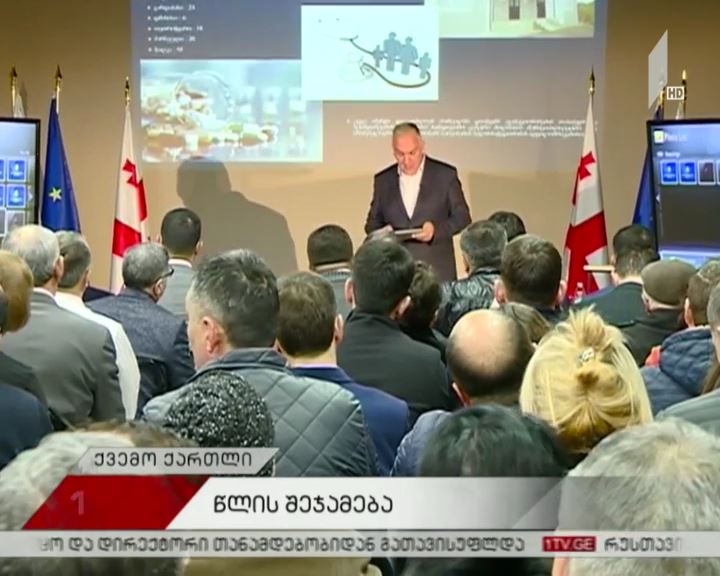 ქვემო ქართლის რწმუნებულის საქმიანობის ანგარიში